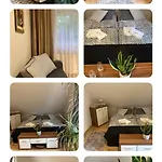Cozy 옐레니아구라