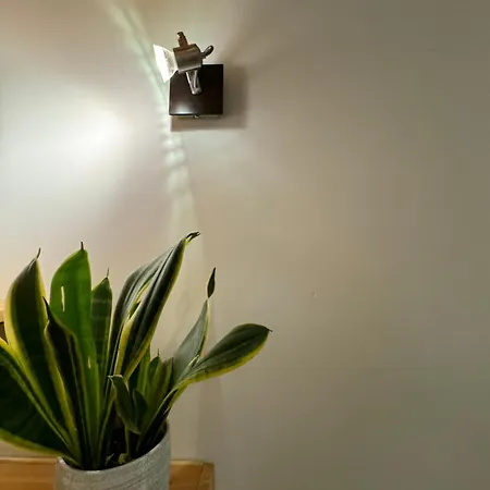 Cozy アパート イェレニャ・グーラ