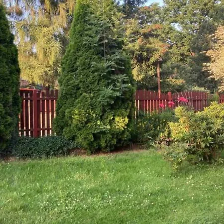 Cozy Апартаменты *