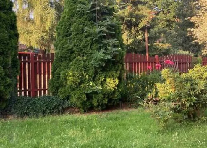 Cozy Апартаменты *